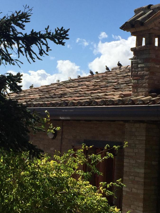 Green B&B Urbino Ca Del Vento Exterior photo