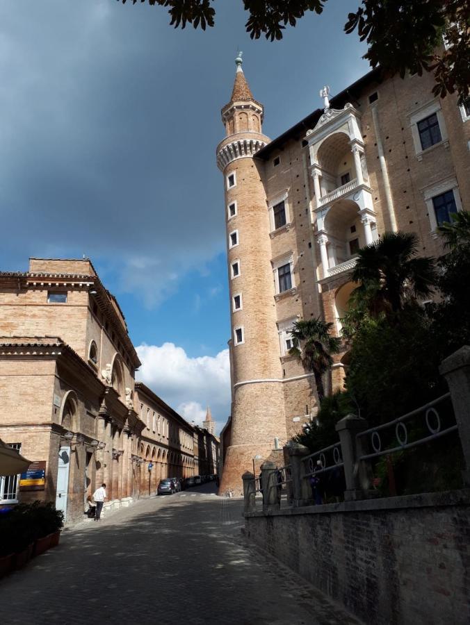 Green B&B Urbino Ca Del Vento Exterior photo